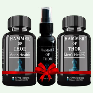 hammer of thor سعر