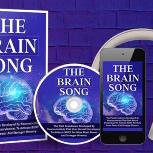 the brain song for memory